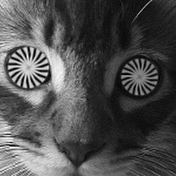 gif of a cat's face with spinning hypnotic discs for eyes